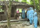 Tăng cường công tác chỉ đạo phòng phống dịch tả lợn Châu Phi tại huyện Ngọc Lặc